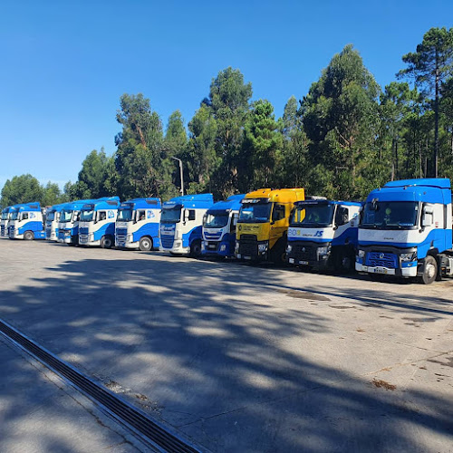 Avaliações doGrupo JS em Oliveira de Azeméis - Serviço de transporte