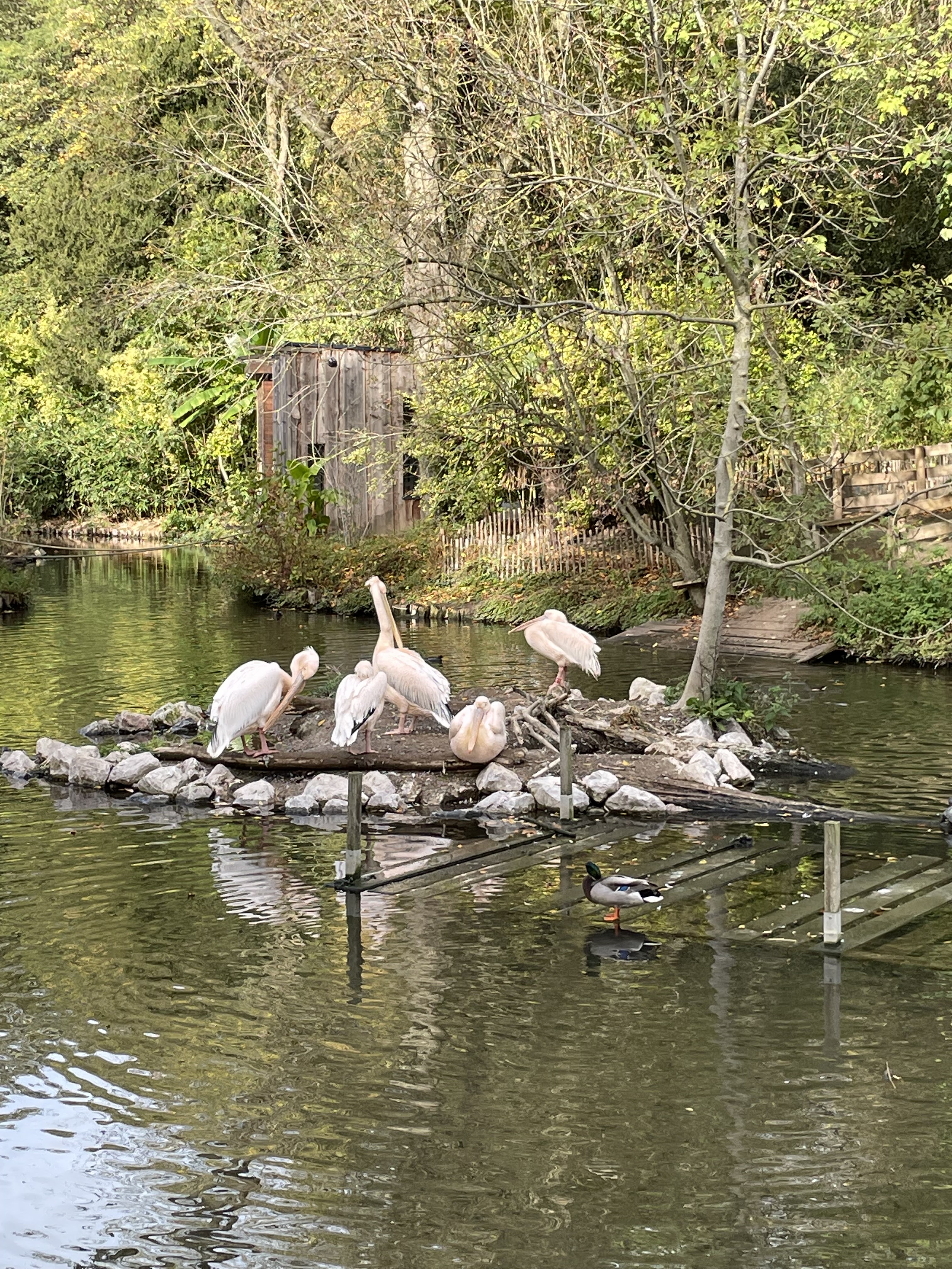 Photo n° 3 de l'avis de Mylene.i fait le 14/11/2022 à 13:45