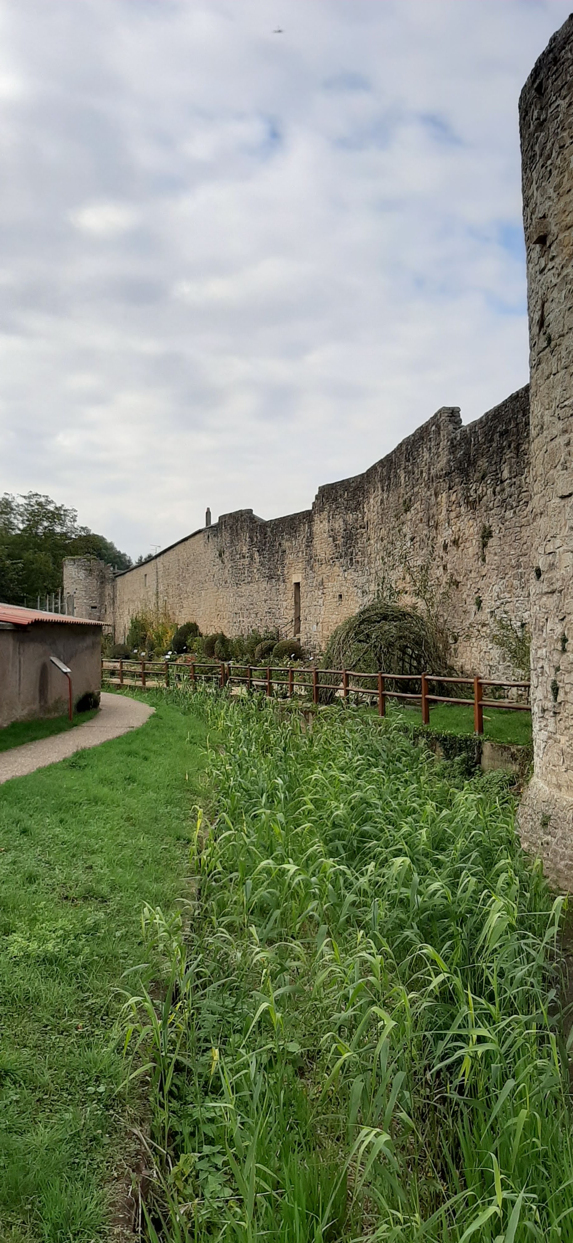 Photo n° 1 de l'avis de Fernando.i fait le 19/10/2020 à 21:12