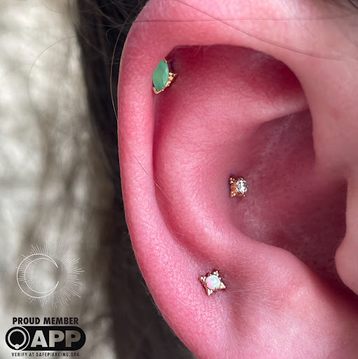 Explore chihuahua tattoo ideas, creative tattoo ideas in Appleton, available at Celestial Piercing- Inside of Big Guns Tattoo