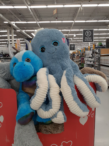 Discount Store «Walmart», reviews and photos, 137 Teaticket Hwy, Teaticket, MA 02536, USA