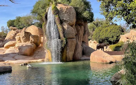 Bioparc Valencia image