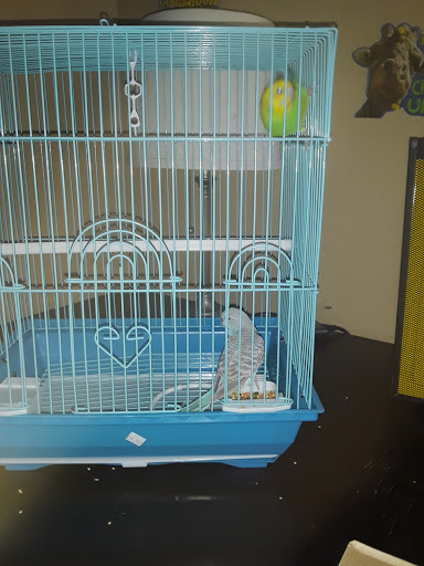 Pet Supply Store «Melis Granero Pet Shop Feed&Supply», reviews and photos, 224 E Foothill Blvd, Rialto, CA 92376, USA