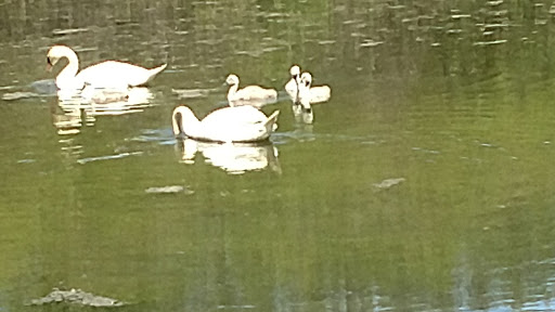 Nature Preserve «Bow in the Clouds Preserve», reviews and photos, 1805 Nazareth Rd, Kalamazoo, MI 49048, USA