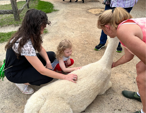 Farm «Painted Sky Alpaca Farm & Fiber Mill», reviews and photos, 95 Knight House Ln, Earleville, MD 21919, USA