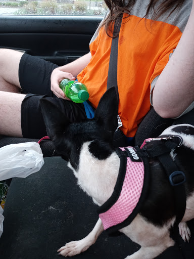 Pet Supply Store «Petco Animal Supplies», reviews and photos, 226 Thornton Drive, Dickson, TN 37055, USA