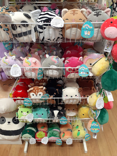 Toy Store «Learning Express», reviews and photos, 420 Cool Springs Blvd, Franklin, TN 37067, USA