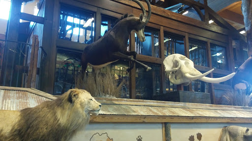 Clothing Store «Old Navy», reviews and photos, 8560 E 49th Pl, Denver, CO 80238, USA