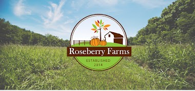 Roseberry Farms Pumpkin Patch