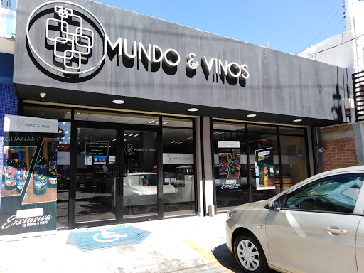 Mundo y Vinos