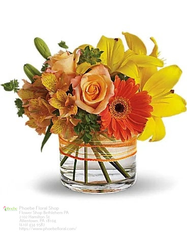 Florist «Phoebe Floral Shop», reviews and photos, 2102 Hamilton St, Allentown, PA 18104, USA
