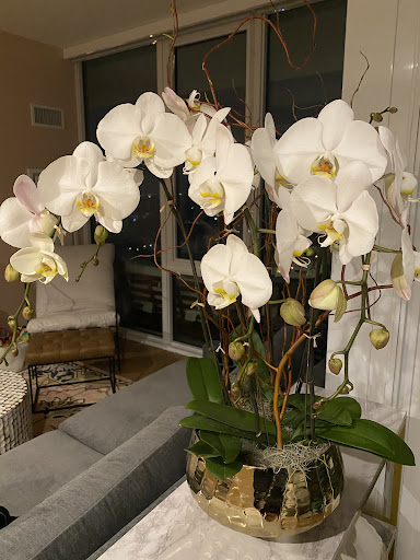 Florist «Green Inc», reviews and photos, 1718 N Wells St, Chicago, IL 60614, USA