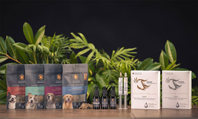 CBD Pet Products for Dogs, Cats, Horses - Creating Brighter Days