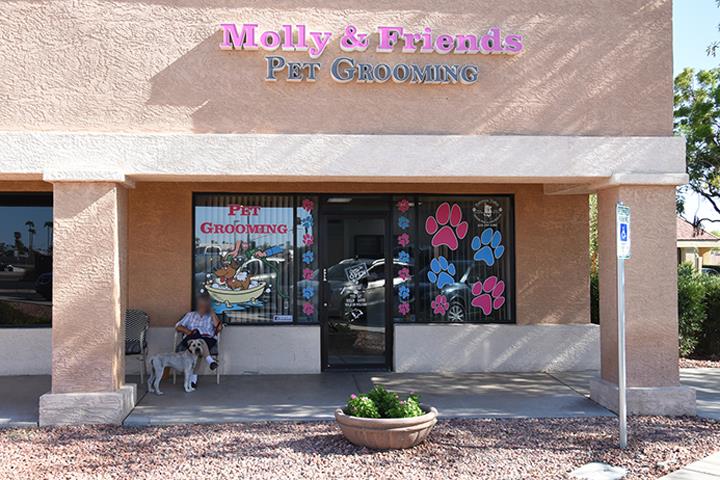 Molly Friends Pet Grooming