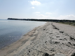 Kerteminde Beach'in fotoğrafı ve yerleşim