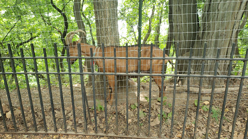 Memorial Park «General Grant National Memorial», reviews and photos, W 122nd St & Riverside Dr, New York, NY 10027, USA