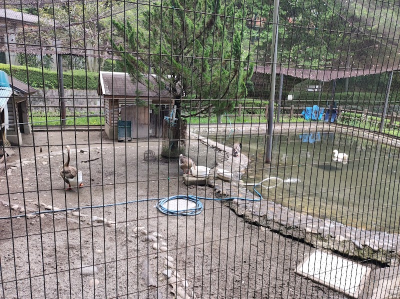 八幡山公園 動物広場