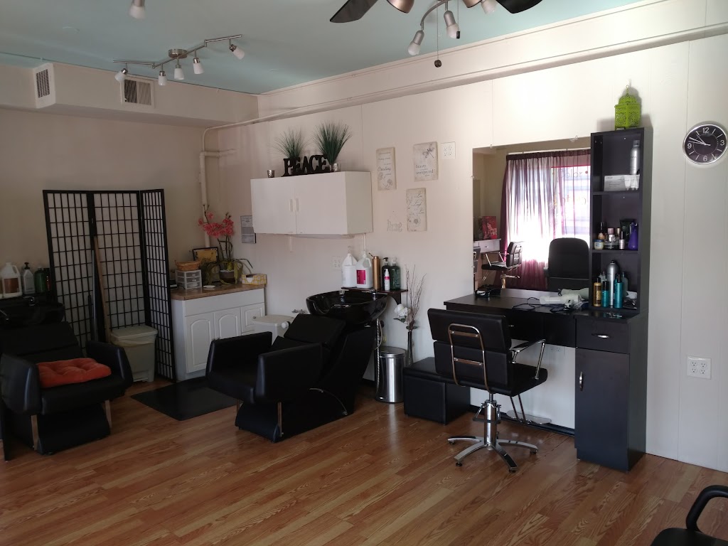 Lighten Up Hair Studio 92025