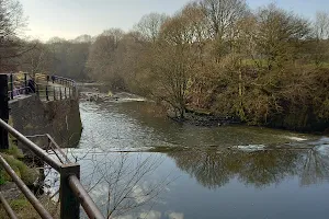 Burrs Country Park image