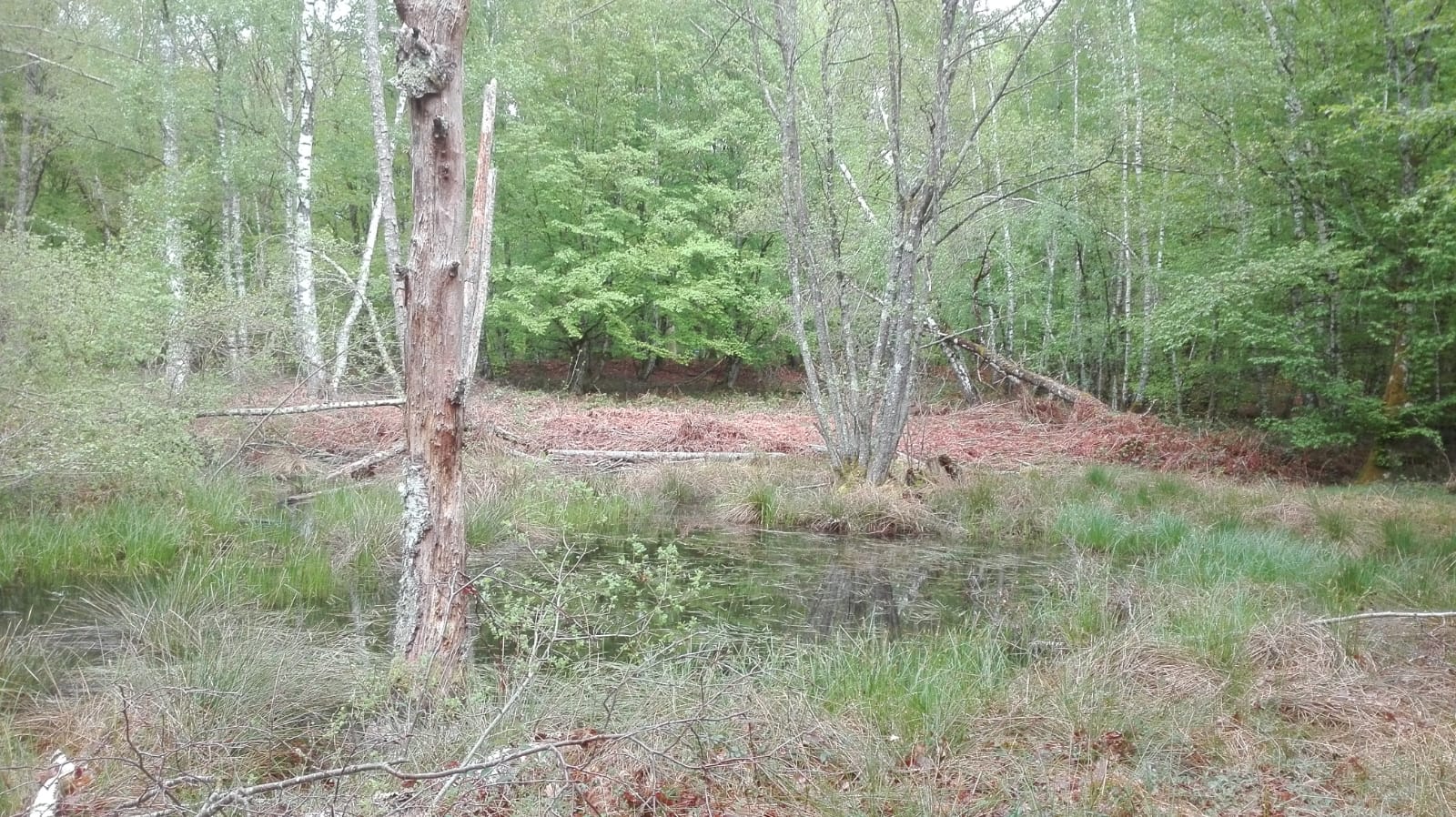 Photo n° 2 de l'avis de Rafael. fait le 24/04/2019 à 20:04