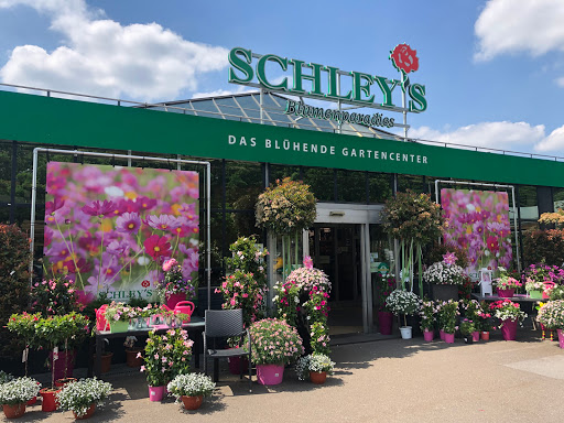 Schley's Blumenparadies