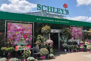 Schley's Blumenparadies image