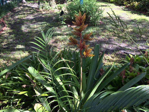 Historical Place «Historic Stranahan House Museum», reviews and photos, 335 SE 6th Ave, Fort Lauderdale, FL 33301, USA