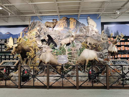 Outdoor Sports Store «Field & Stream», reviews and photos, 870 Walt Whitman Rd Ste B, Melville, NY 11747, USA