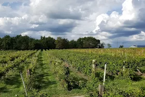 Holy-Field Vineyard & Winery image