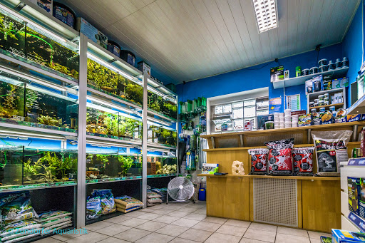 Zündorfer Aquaristik unter Cologne, 