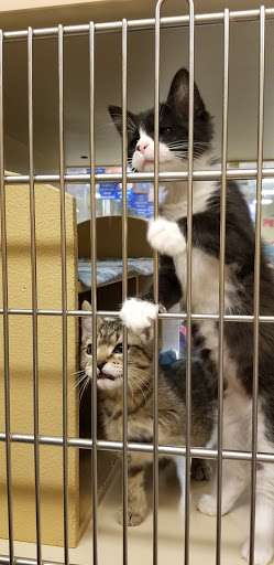 Pet Supply Store «PetSmart», reviews and photos, 15615 E Broadway Ave, Spokane Valley, WA 99037, USA