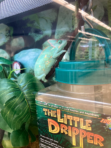 Pet Supply Store «Petco Animal Supplies», reviews and photos, 5938 Roswell Rd NE, Sandy Springs, GA 30328, USA