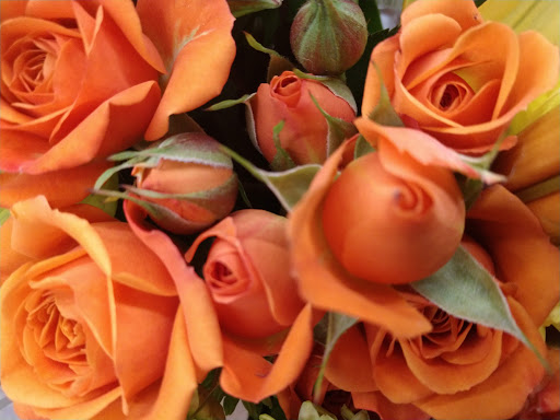 Grocery Store «Albertsons», reviews and photos, 4700 N Eagle Rd, Boise, ID 83713, USA