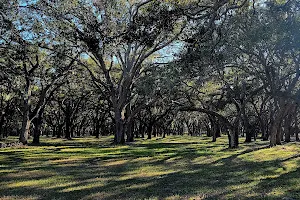 GT Bray Park Disc Golf Course image