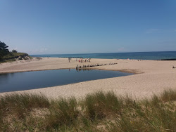 Dabkowice Beach'in fotoğrafı doğal alan içinde bulunmaktadır