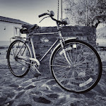 Photo n°4 de l'avis de Francisco.o fait le 11/08/2021 à 16:37 sur le  Nave Redonda do Cerro à Nave Redonda