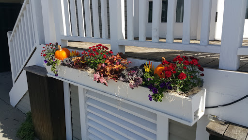 Bakery «Pie in the Sky Bakery & Cafe», reviews and photos, 10 Water St, Woods Hole, MA 02543, USA