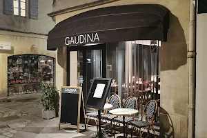 Gaudina image