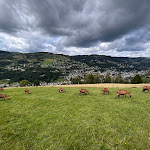 Photo n° 1 de l'avis de michèle. fait le 10/08/2023 à 12:27 pour Chèvrerie du Brabant à La Bresse