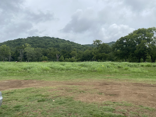 Tourist Attraction «Adventureworks Zipline Forest», reviews and photos, 4129 Whites Creek Pike, Whites Creek, TN 37189, USA