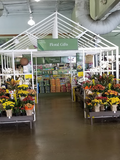 Garden Center «Pike Nurseries», reviews and photos, 615 W Crossville Rd, Roswell, GA 30075, USA