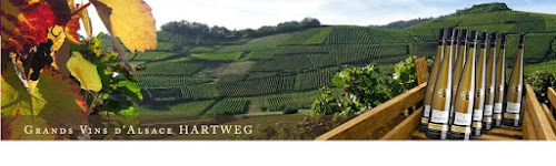 Grands Vins d'Alsace Hartweg, Gîtes Les Amandiers à Beblenheim