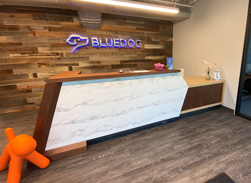 Financial Institution «BlueDog Business Services», reviews and photos