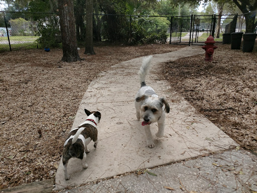 Park «Northeast Park and Paw Place», reviews and photos, 4630 E Bay Dr, Clearwater, FL 33764, USA