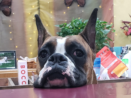 Pet Supply Store «Natural Pet NW», reviews and photos, 212 NE 164th Ave #8, Vancouver, WA 98684, USA