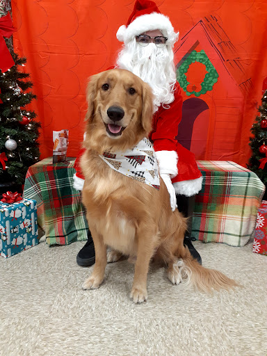 Pet Supply Store «PetSmart», reviews and photos, 2113 E Geneva St, Delavan, WI 53115, USA