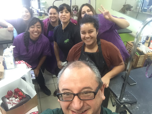 Pet Groomer «Pupazzo Dog Grooming Xprss & Pet Supplies», reviews and photos, 2080 E Pacific Coast Hwy, Long Beach, CA 90804, USA