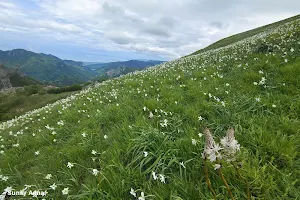 Monte Croce image