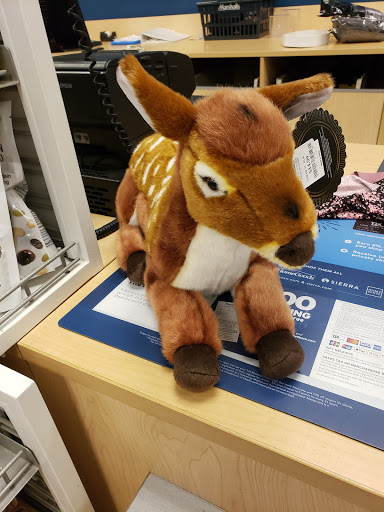 Department Store «Marshalls», reviews and photos, 3850 Mystic Valley Pkwy, Medford, MA 02155, USA