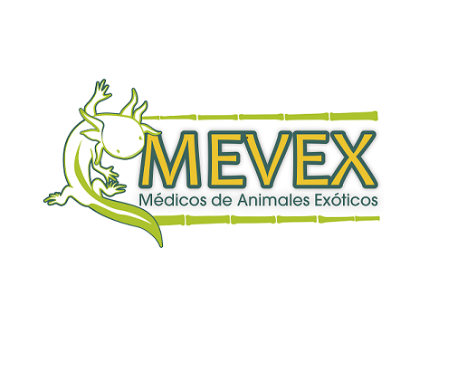 Veterinaria MEVEX - Las Condes